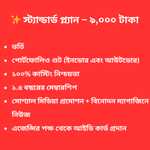 স্ট্যান্ডার্ড প্ল্যান – ৯,০০০ টাকা